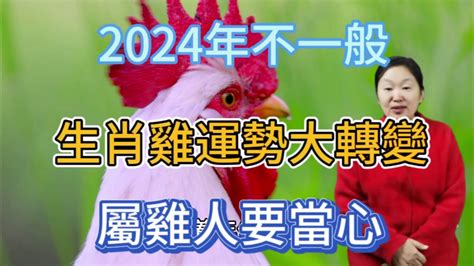 生肖雞顏色|2024年運勢大揭秘：生肖雞的幸運數字、顏色和貴人你都知道。